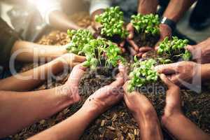 Growing together. High angle shot of a group of unrecognizable people holding plants growing in soil.