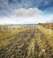 Wet farmland in early spring in Jutland, Denmark. A grassland with puddles of water against a cloudy blue sky. Landscape with abandoned field wet from the rain.Rainwater on agriculture field