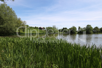 Summer landscape. Small lake with green shores
