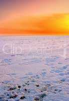 Snow covered fields at orange sunset. Stunning orange sky on empty frozen farmland. Winter landscape scene of soft fresh white snowfall at dawn in an arctic scene. Global warming and climate change.