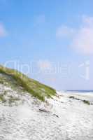 Landscape of sand dunes on the west coast of Jutland in Loekken, Denmark. Closeup of tufts of grass growing on an empty beach with blue sky and copyspace. Scenic view to enjoy during travel in summer