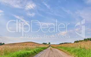 Copyspace on blue sky background with clouds on the horizon and dirt road pathway between a wheat field in Sweden. Journey through a calm and picturesque landscape on lush pastures in the countryside