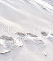 Landscape of footprints on sand dunes in the west coast of Jutland in Loekken, Denmark. Closeup of surface texture in dry empty desert with copyspace. Peaceful view to explore for travel and tourism