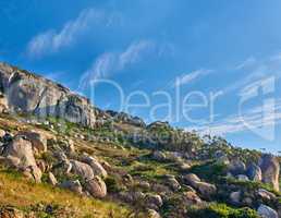 Panorama and landscape view of Lions Head mountain in Cape Town, South Africa during summer holiday and vacation. Blue sky, scenic hills, nature scenery of fresh green flora growing in remote area