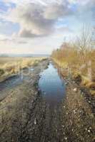 A dirt road in the wet countryside by dry or arid grassland in early spring in Denmark. Empty gravel outdoors after heavy rain in the morning with a blue sky background. View of the countryside swamp