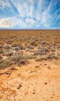 Landscape of arid and barren highland in Savanna Desert in rural South Africa with copyspace. Dry, empty, remote land against blue sky. Global warming and climate change in drought environment