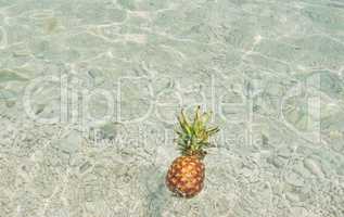 Exotic Pineapple fruit symbol of summer floating in blue tropical ocean water healthy organic diet food