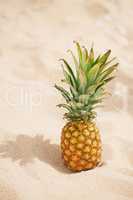 Exotic Pineapple fruit symbol of summer standing in beach sand healthy organic diet food