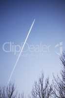 Jet airplane contrail above leafless trees against a clear blue sky background with copyspace. View of a distant passenger plane flying at high altitude leaving a long white smoke trail behind