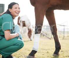 Its only a minor injury. Shot of an attractive young veterinarian crouching down after wrapping a bandage around a horses leg on a farm.