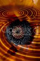 Abstract ocean and flower with ripples. Wallpaper or background art with a swirl style. Closeup of liquid movement with an orange or gold colour. Burnt black plant surrounded by lava or nature on fire