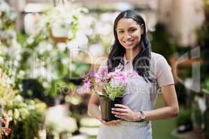 Lady of the flowers. Portrait of a young business owner holding a pot plant in a nursery.