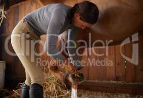 Daily duties. a young woman cleaning a horses shoe in a barn.