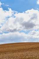 Landscape of a harvested wheat field on a cloudy day. Rustic farm land against a blue horizon. Brown grain growing in danish summer. Organic corn farming in harvest season. Cultivating barley or rye