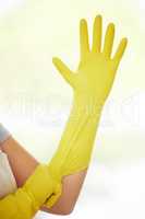 An unrecognizable domestic worker putting on rubber gloves at work. One unknown mixed race woman preparing to do housework
