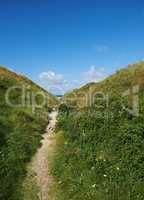 Beautiful landscape with a secret path between grassy hills to a hideaway, hidden beach or secluded area with a blue sky copyspace. Peaceful and scenic view perfect for an adventure in nature