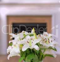 Closeup of a bouquet of lily flowers in a vase on a table at home. Bunch of white Lilium flowering plants blooming in a jar in the living room. Lilies on display in a vessel in the lounge in a house