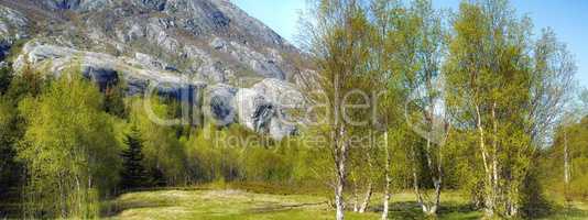 Landscape of rocky mountain with forest trees and blue sky in Norway. Beautiful scenic view of nature with vibrant lush trees and vibrant green meadow around an iconic natural landmark in summer