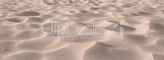 Beach sand from desert dunes along the coast in nature with copyspace on a sunny day. Closeup of a scenic landscape outdoors with rough and rippled surface texture. A calm place to feel zen and relax