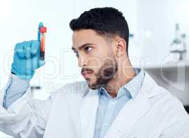 One handsome young mixed race man wearing gloves and a labcoat and looking at a medical blood sample in a test tube in a lab. A male scientist looking seriously while examining a vial of blood