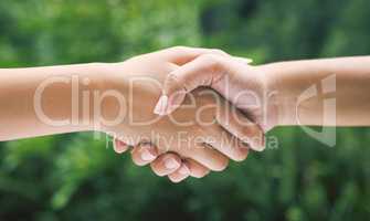 Closeup of a handshake in nature. Two diverse peoples hands greeting. Partners making an agreement about sustainability