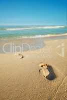Footsteps on a sand beach seaside with a white foamy wave from the blue sea. Soft waves of clear water. Sandy beach with human footprints. Pleasing blue sky over a peaceful sea. Sandy tropical ocean.