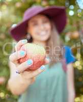 Closeup of one unknown woman holding freshly picked apple from farm outside on the weekend. Farmer showing ripe apples for harvest. Healthy seasonal and organic grown fruit for nutrition and vitamins