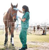 Been feeling a little under the weather lately. Full length shot of a young veterinarian standing alone and attending to a horse on a farm.