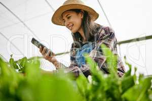 A better way to track progress. Shot of a young female farmer taking a photo of her crops using her smartphone.