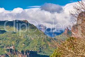 Rocky landscape of mountains, hills and leafless trees in the remote area of La Palma, Canary Islands, Spain. Scenic view of mother nature, cloudy sky and flora. The calm and beauty of nature