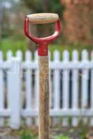 Closeup of a handle of a shovel in a garden with a background of white picket fence with copyspace. Ready to be used for gardening or a lawn cleanup. Zoom in on wooden pattern of a gardening tool