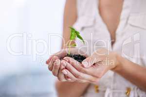 Unrecognizable businessperson holding a plant growing out of dirt in the palm of their hand. One unrecognizable person growing and nurturing a plant growing out of soil in their hand