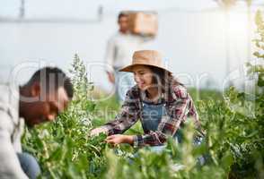 Everyone loves tending to the green garden. Shot of a young woman tending to crops on a farm.