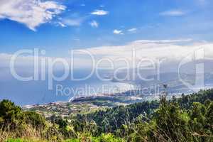 Scenic landscape of the mountains, a pine forest and the ocean with blue sky copy space in the remote area of La Palma, Canary Islands, Spain. View of lush mother nature and wild flora from above