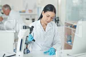 A good lab technician is meticulous and cautious. a young scientist working with samples in a lab.