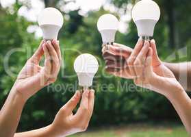 Multiple hands holding lightbulbs outside in nature. Closeup of multiethnic people holding bulbs as a concept of sustainable electricity. Multiracial people holding lightbulbs