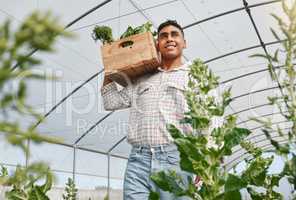 Ill be able to sell these and many more. Shot of a young man holding a crate of fresh produce while working on a farm.