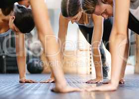 Closeup of diverse group of fit people doing bodyweight push up exercises while training together in a gym. Athletes doing press ups and plank hold to build muscle, enhance upper body, strengthen core and increase endurance for workout in fitness class