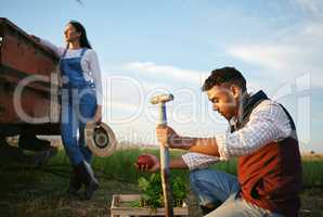Two farmers working on a field. Young mixed race man and brunette woman working together on their agricultural land. Harvest season always provides the best organic produce