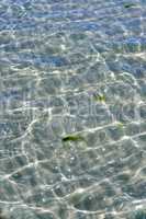 Closeup of shallow waves on a coastline on a sunny day outside. Above view of sunlight reflecting on calm water ripples at beach. Clear liquid refracting sun rays in summer for copy space background