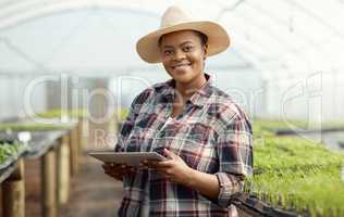 One beautiful african american female farm worker working in an agricultural greenhouse. A confident black woman using a tablet while checking on the growth of her crops in their natural habitat