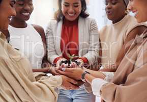 Diverse group of smiling businesswomen holding seedling in soil in hands. Ethnic team of professionals standing together, developing eco-friendly sustainable business. Entrepreneurs nurturing success