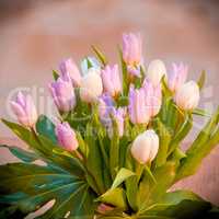 Pretty pink tulips on blurred background. A bouquet or bunch of beautiful tulip flowers with bright green stems grown as ornament and decoration for special occasions such as valentines or womens day