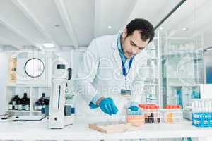 I have to perfect this cure. Shot of a young scientist working with samples in a lab.