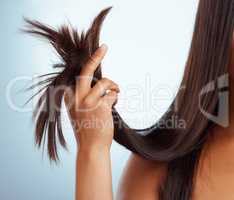 Closeup of unknown mixed race woman holding her unhealthy hair against a grey background. Hispanic females hands holding her split ends