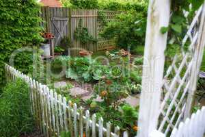 A beautiful garden in a backyard of a house or home with a wooden fence around it. Lush green botanical plants growing in a yard with a path and clay pots. Serene, peaceful, and tranquil outdoor
