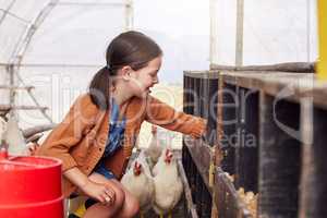 Farming teaches kids responsibility. an adorable little girl helping out on a poultry farm.