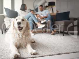 A mixed race family of three relaxing on the sofa, loving black family being affectionate with their daughter. Young couple bonding while their adopted rescue dog is lying on a carpet