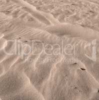 Brown sand dunes at the beach shore in nature on a sunny day with copyspace. Closeup of desert landscape outdoors with grainy and sandy surface texture. Dry barren coastal scenic to explore in summer