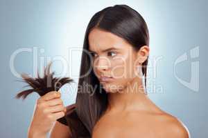 A young mixed race woman looking unhappy with her unhealthy hair against a grey background. Hispanic female expressing dissatisfaction at her split ends